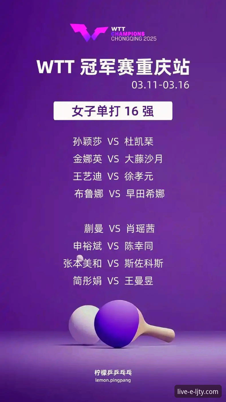 WTT重庆冠军赛决赛高清观赛与深度复盘指南